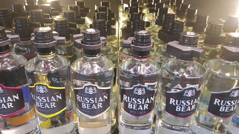 russian-bear